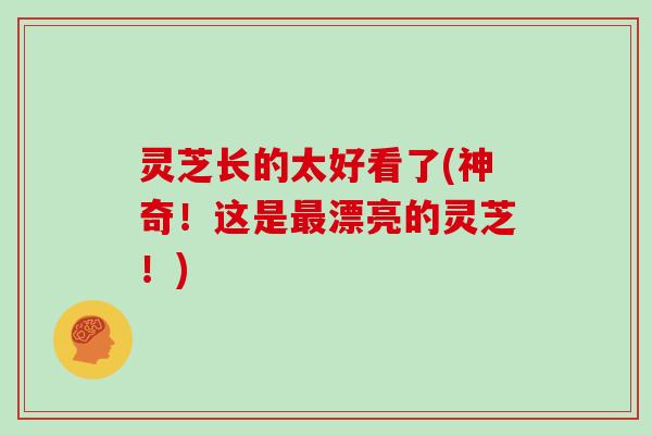 灵芝长的太好看了(神奇！这是最漂亮的灵芝！)