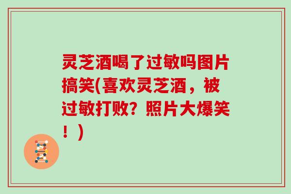 灵芝酒喝了过敏吗图片搞笑(喜欢灵芝酒，被过敏打败？照片大爆笑！)