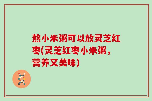 熬小米粥可以放灵芝红枣(灵芝红枣小米粥，营养又美味)