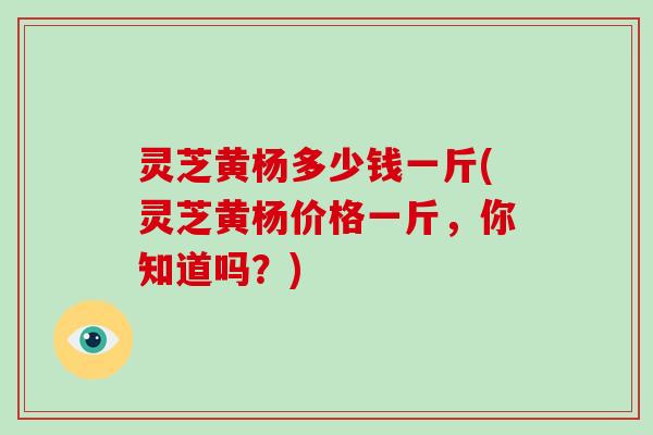 灵芝黄杨多少钱一斤(灵芝黄杨价格一斤，你知道吗？)