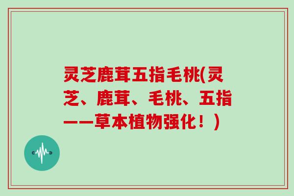 灵芝鹿茸五指毛桃(灵芝、鹿茸、毛桃、五指——草本植物强化!)-第1张图片-灵芝大师 灵芝鹿茸五指毛桃(灵芝、鹿茸、毛桃、五指——草本植物强化!)-第1张图片-灵芝大师