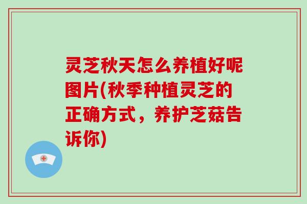 灵芝秋天怎么养植好呢图片(秋季种植灵芝的正确方式，养护芝菇告诉你)