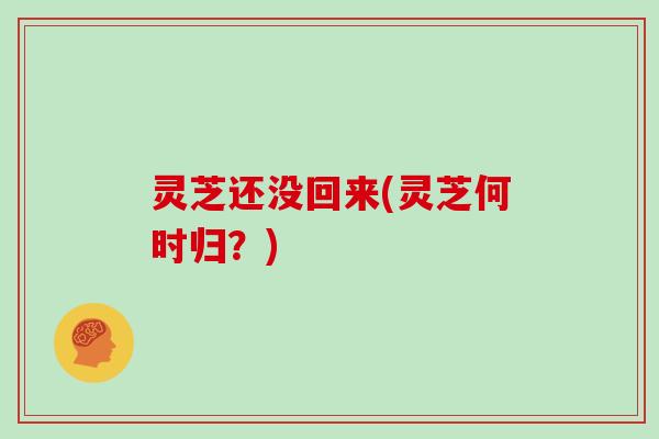 灵芝还没回来(灵芝何时归?)-第1张图片-灵芝大师 灵芝还没回来(灵芝何时归?)-第1张图片-灵芝大师