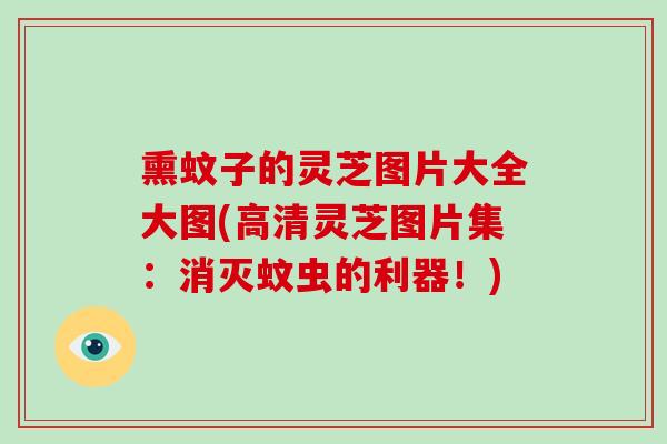 熏蚊子的灵芝图片大全大图(高清灵芝图片集：消灭蚊虫的利器！)