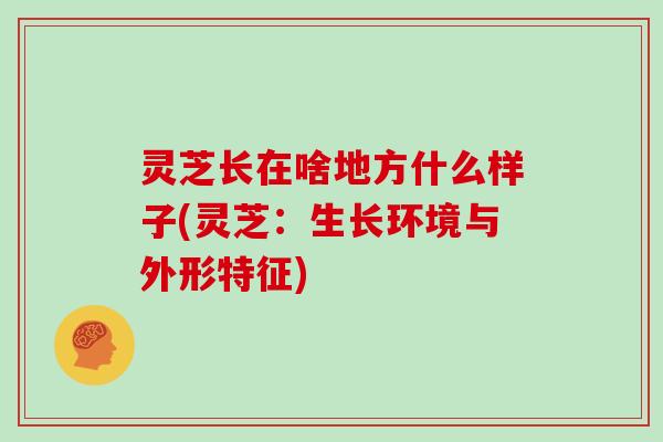 灵芝长在啥地方什么样子(灵芝：生长环境与外形特征)