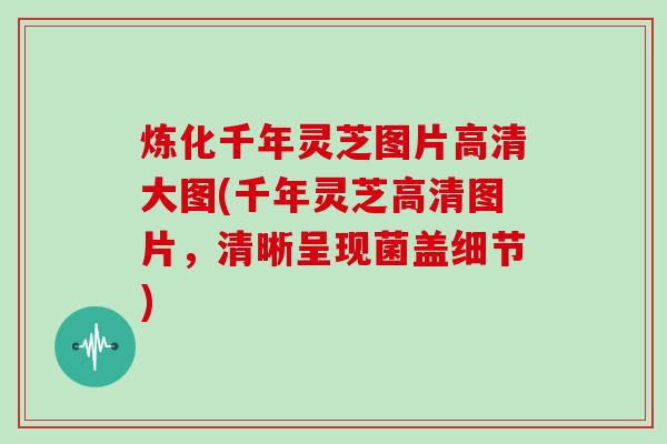 炼化千年灵芝图片高清大图(千年灵芝高清图片，清晰呈现菌盖细节)