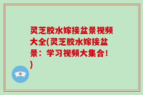 灵芝胶水嫁接盆景视频大全(灵芝胶水嫁接盆景：学习视频大集合！)