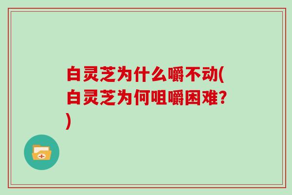 白灵芝为什么嚼不动(白灵芝为何咀嚼困难?)-第1张图片-灵芝大师 白灵芝为什么嚼不动(白灵芝为何咀嚼困难?)-第1张图片-灵芝大师