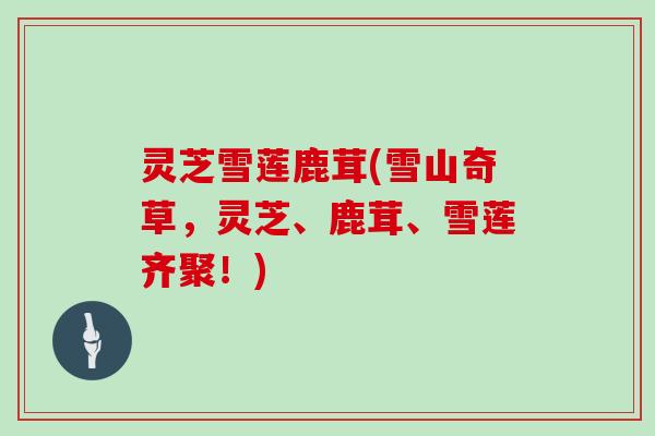 灵芝雪莲鹿茸(雪山奇草,灵芝、鹿茸、雪莲齐聚!)-第1张图片-灵芝大师 灵芝雪莲鹿茸(雪山奇草,灵芝、鹿茸、雪莲齐聚!)-第1张图片-灵芝大师