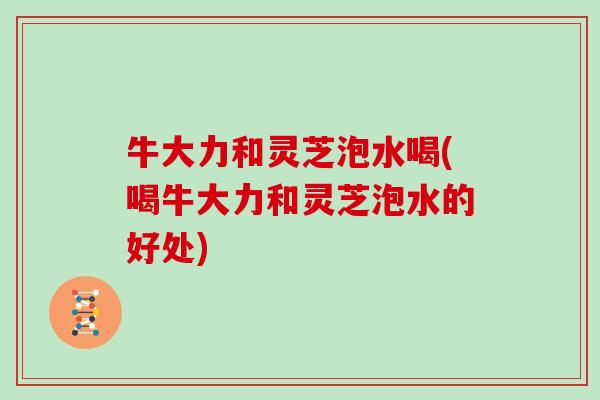 牛大力和灵芝泡水喝(喝牛大力和灵芝泡水的好处)