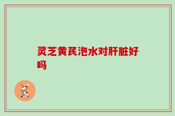 灵芝黄芪泡水对肝脏好吗