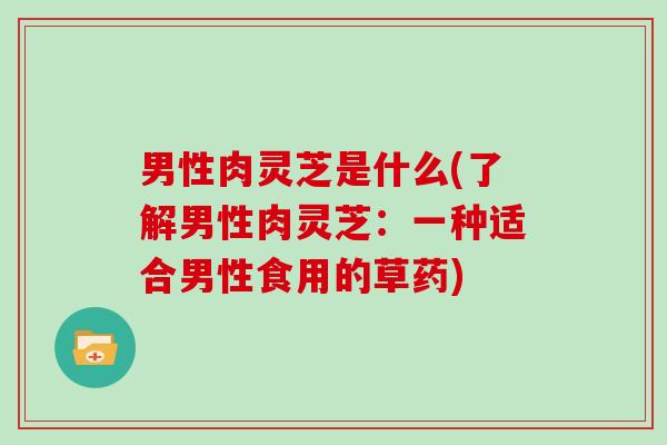 男性肉灵芝是什么(了解男性肉灵芝:一种适合男性食用的草药)-第1张图片-灵芝大师 男性肉灵芝是什么(了解男性肉灵芝:一种适合男性食用的草药)-第1张图片-灵芝大师