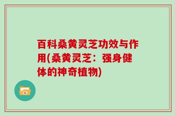 百科桑黄灵芝功效与作用(桑黄灵芝：强身健体的神奇植物)