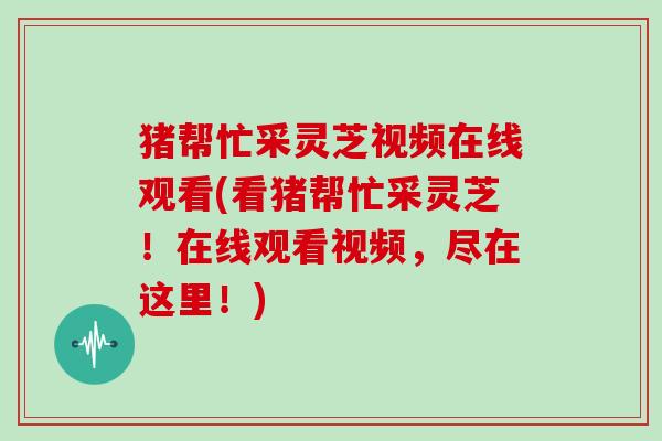 猪帮忙采灵芝视频在线观看(看猪帮忙采灵芝！在线观看视频，尽在这里！)