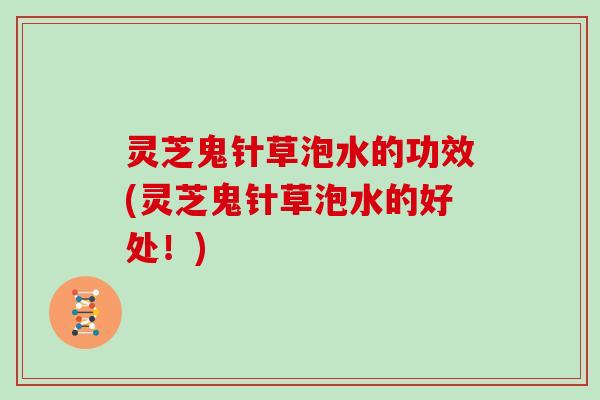 灵芝鬼针草泡水的功效(灵芝鬼针草泡水的好处！)