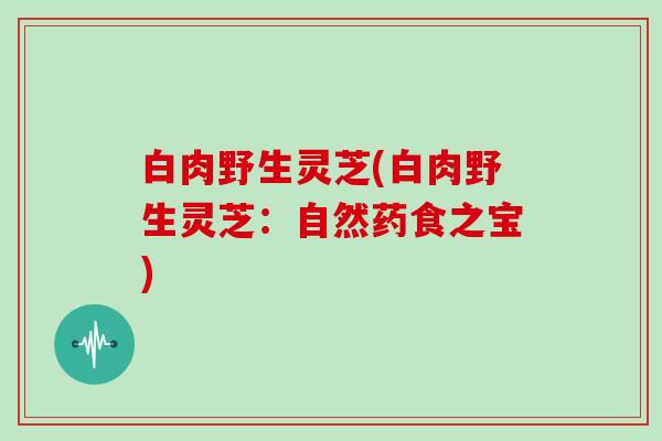 白肉野生灵芝(白肉野生灵芝：自然药食之宝)