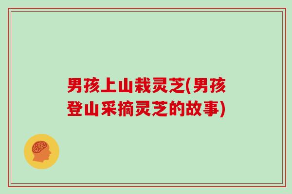 男孩上山栽灵芝(男孩登山采摘灵芝的故事)
