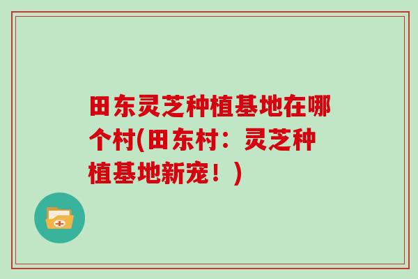田东灵芝种植基地在哪个村(田东村：灵芝种植基地新宠！)