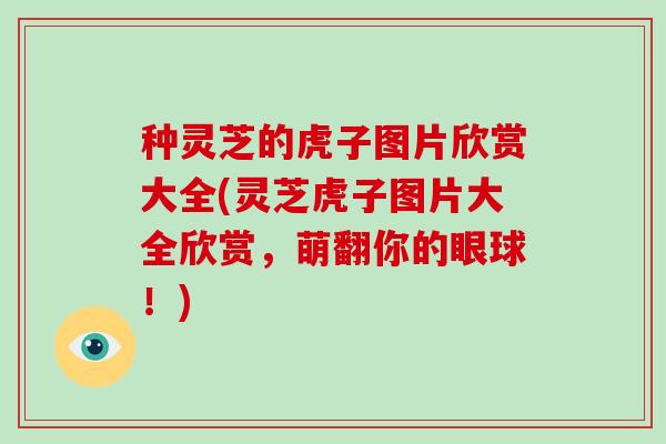 种灵芝的虎子图片欣赏大全(灵芝虎子图片大全欣赏，萌翻你的眼球！)