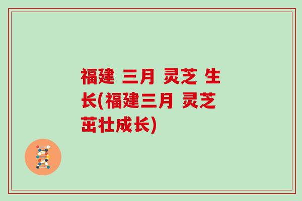 福建 三月 灵芝 生长(福建三月 灵芝 茁壮成长)