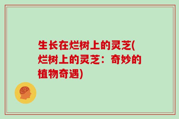 生长在烂树上的灵芝(烂树上的灵芝:奇妙的植物奇遇)-第1张图片-灵芝大师 生长在烂树上的灵芝(烂树上的灵芝:奇妙的植物奇遇)-第1张图片-灵芝大师