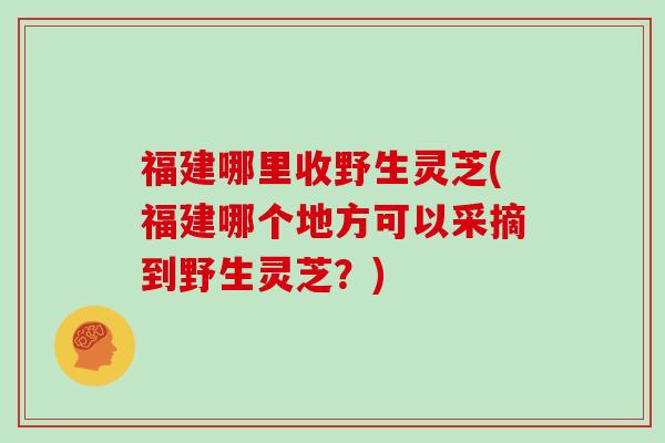 福建哪里收野生灵芝(福建哪个地方可以采摘到野生灵芝？)