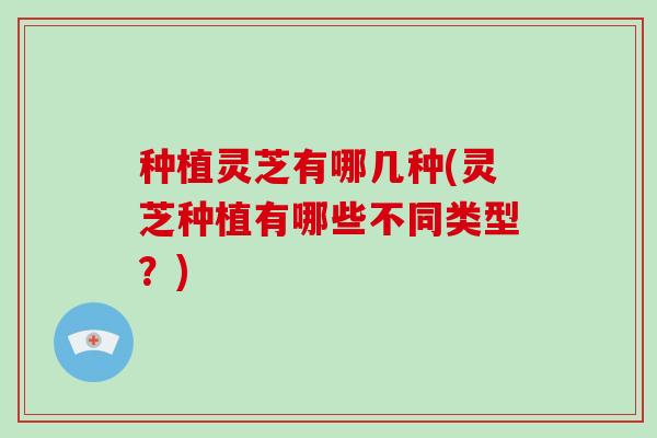 种植灵芝有哪几种(灵芝种植有哪些不同类型？)