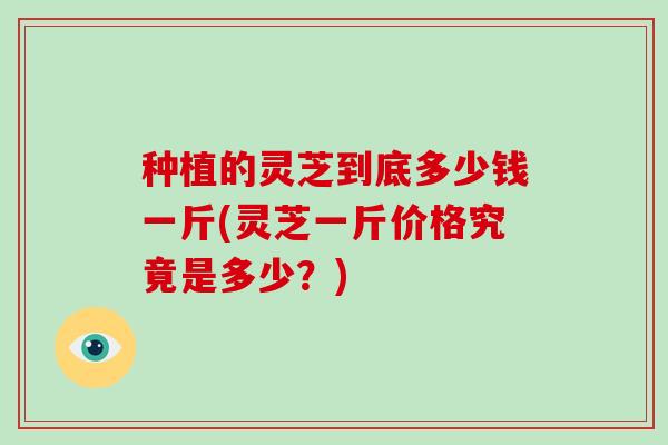 种植的灵芝到底多少钱一斤(灵芝一斤价格究竟是多少?)-第1张图片-灵芝大师 种植的灵芝到底多少钱一斤(灵芝一斤价格究竟是多少?)-第1张图片-灵芝大师