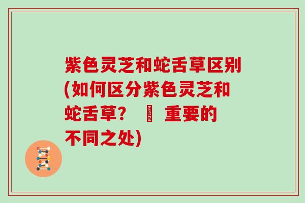 紫色灵芝和蛇舌草区别(如何区分紫色灵芝和蛇舌草？ – 重要的不同之处)