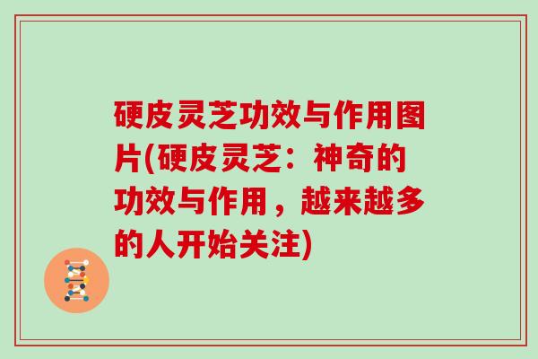 硬皮灵芝功效与作用图片(硬皮灵芝：神奇的功效与作用，越来越多的人开始关注)