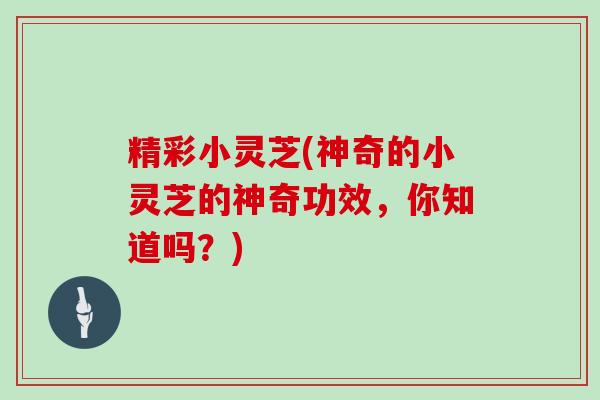 精彩小灵芝(神奇的小灵芝的神奇功效，你知道吗？)