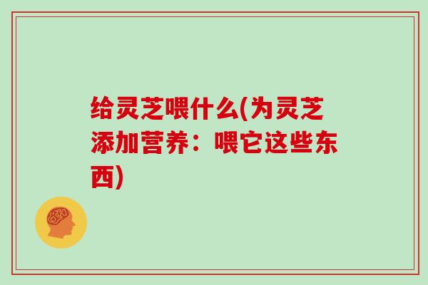 给灵芝喂什么(为灵芝添加营养：喂它这些东西)
