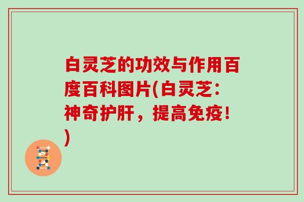 白灵芝的功效与作用百度百科图片(白灵芝：神奇护肝，提高免疫！)