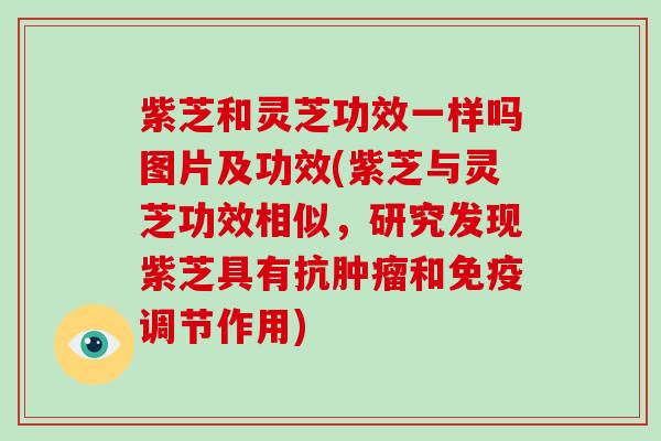 紫芝和灵芝功效一样吗图片及功效(紫芝与灵芝功效相似，研究发现紫芝具有抗肿瘤和免疫调节作用)