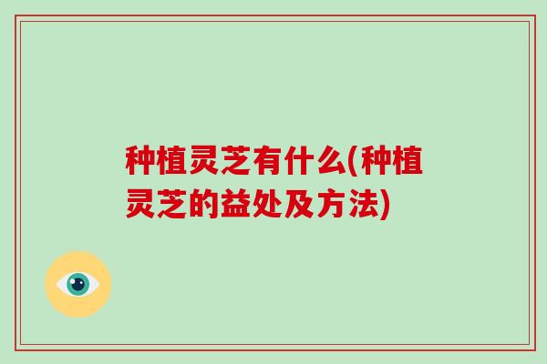 种植灵芝有什么(种植灵芝的益处及方法)