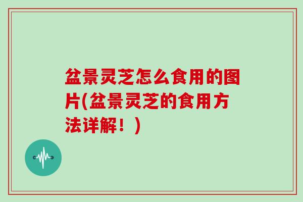 盆景灵芝怎么食用的图片(盆景灵芝的食用方法详解！)