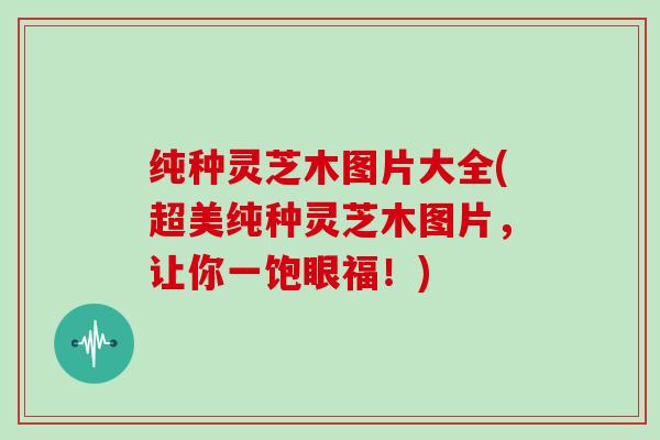 纯种灵芝木图片大全(超美纯种灵芝木图片，让你一饱眼福！)