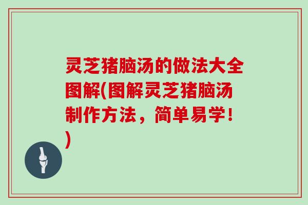 灵芝猪脑汤的做法大全图解(图解灵芝猪脑汤制作方法，简单易学！)
