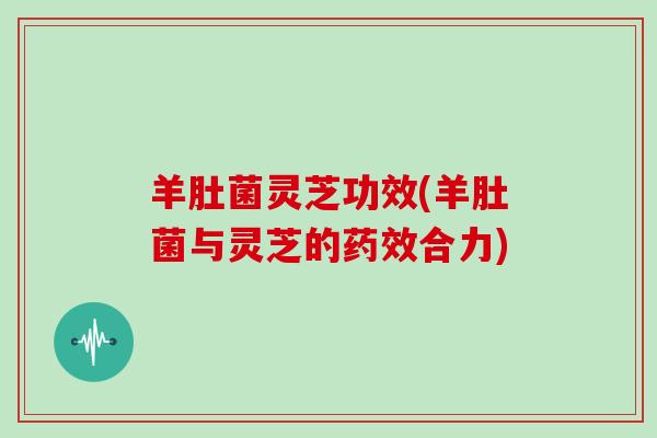 羊肚菌灵芝功效(羊肚菌与灵芝的药效合力)