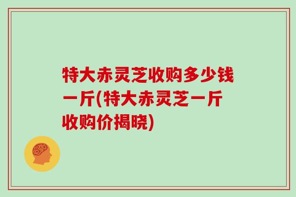 特大赤灵芝收购多少钱一斤(特大赤灵芝一斤收购价揭晓)