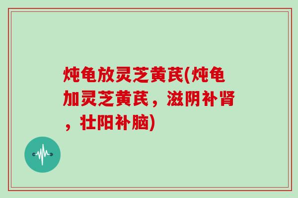 炖龟放灵芝黄芪(炖龟加灵芝黄芪，滋阴补肾，壮阳补脑)