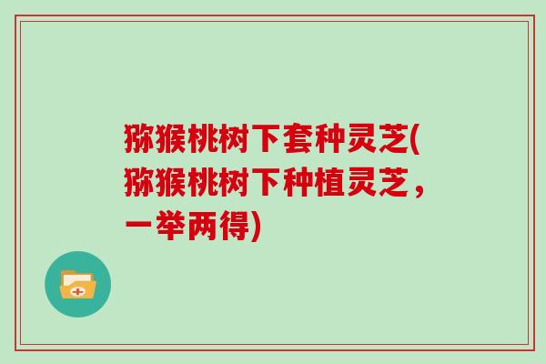 猕猴桃树下套种灵芝(猕猴桃树下种植灵芝，一举两得)