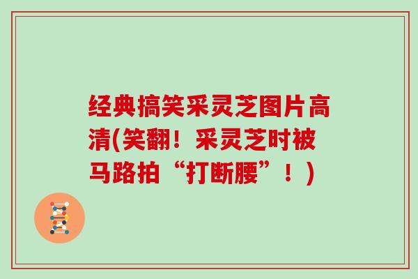 经典搞笑采灵芝图片高清(笑翻！采灵芝时被马路拍“打断腰”！)