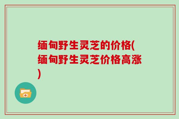 缅甸野生灵芝的价格(缅甸野生灵芝价格高涨)