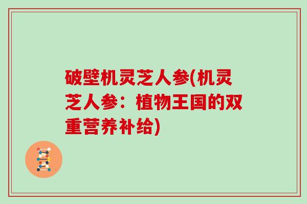 破壁机灵芝人参(机灵芝人参：植物王国的双重营养补给)