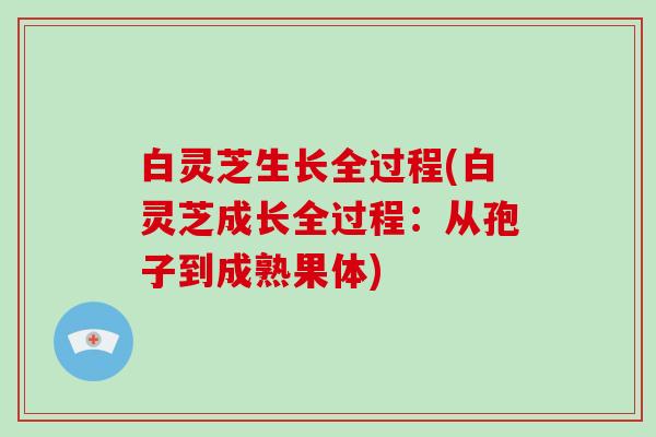 白灵芝生长全过程(白灵芝成长全过程：从孢子到成熟果体)-第1张图片-灵芝大师