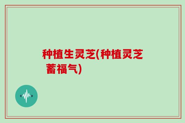 种植生灵芝(种植灵芝 蓄福气)-第1张图片-灵芝大师 种植生灵芝(种植灵芝 蓄福气)-第1张图片-灵芝大师