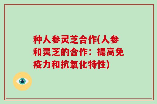 种人参灵芝合作(人参和灵芝的合作：提高免疫力和抗氧化特性)