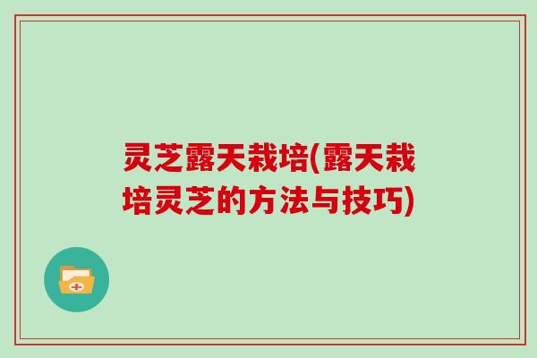 灵芝露天栽培(露天栽培灵芝的方法与技巧)