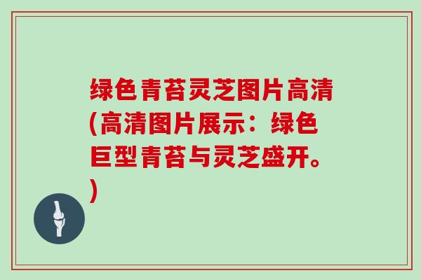绿色青苔灵芝图片高清(高清图片展示：绿色巨型青苔与灵芝盛开。)